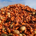 European Food waste