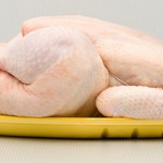 E coli in chicken